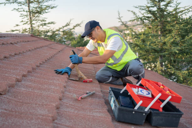 Roof Gutter Cleaning in Shorewood, WI